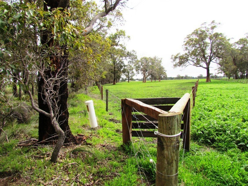 Crooked Brook WA 6236