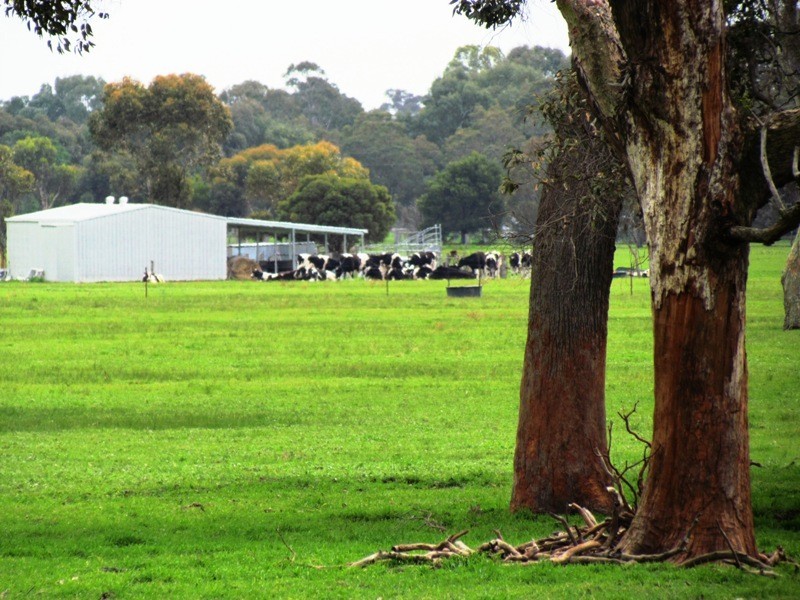 Crooked Brook WA 6236