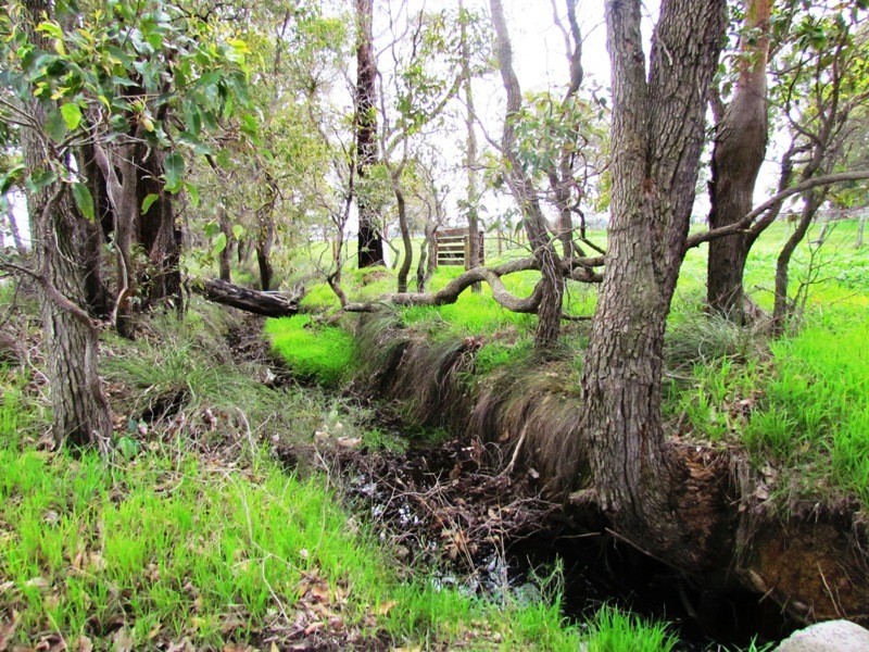 Crooked Brook WA 6236