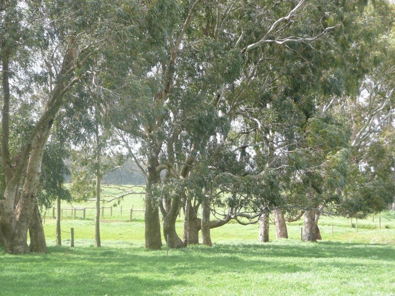 Cowaramup WA 6284