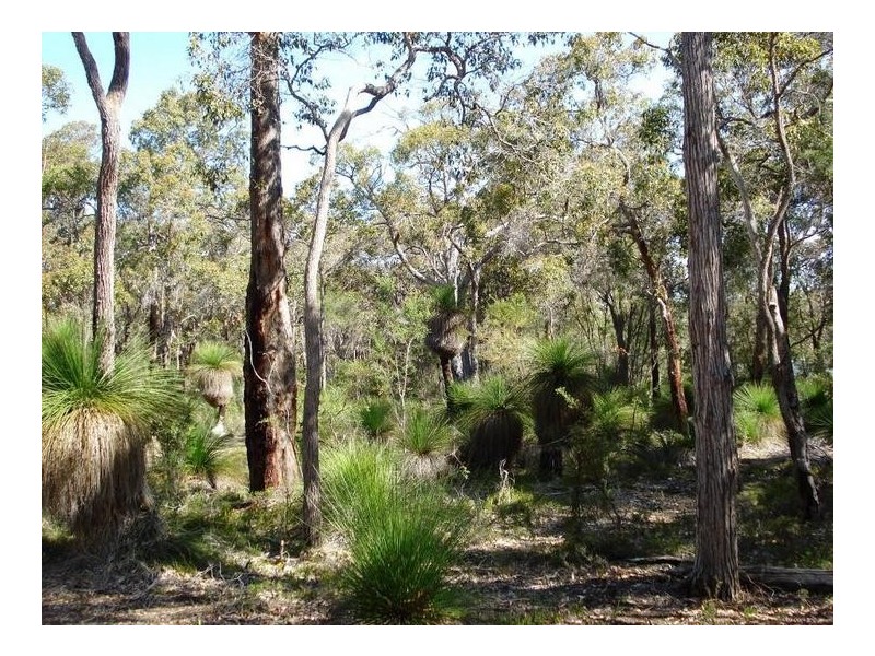 91 Glover Road, Yallingup Siding WA 6282