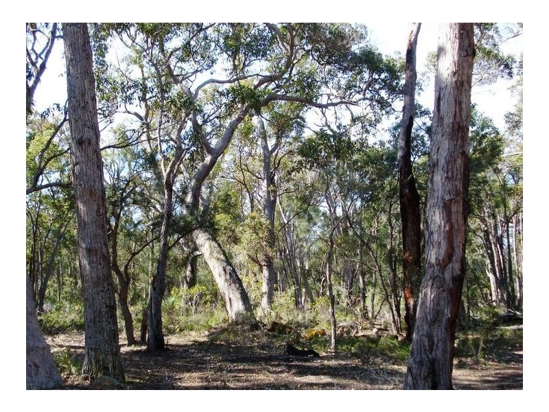 91 Glover Road, Yallingup Siding WA 6282