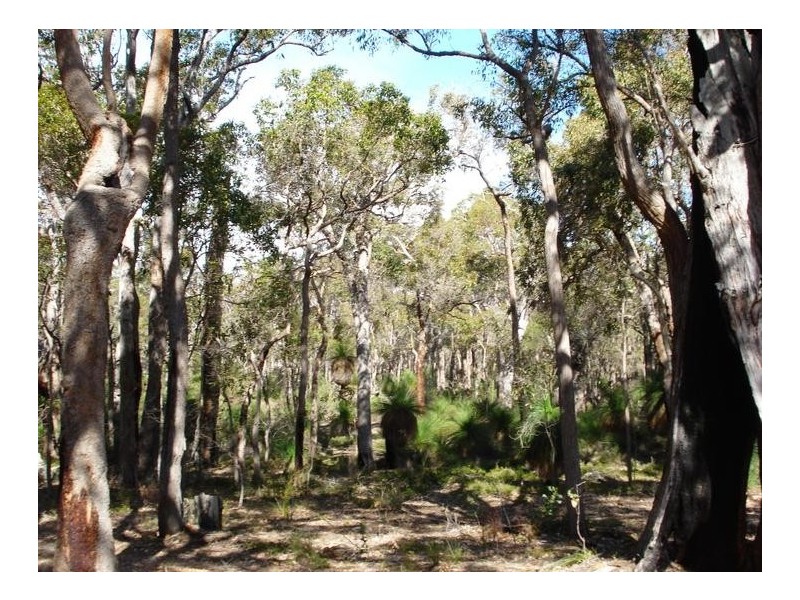 91 Glover Road, Yallingup Siding WA 6282