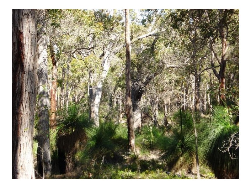 91 Glover Road, Yallingup Siding WA 6282