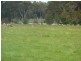 Wilyabrup WA 6280