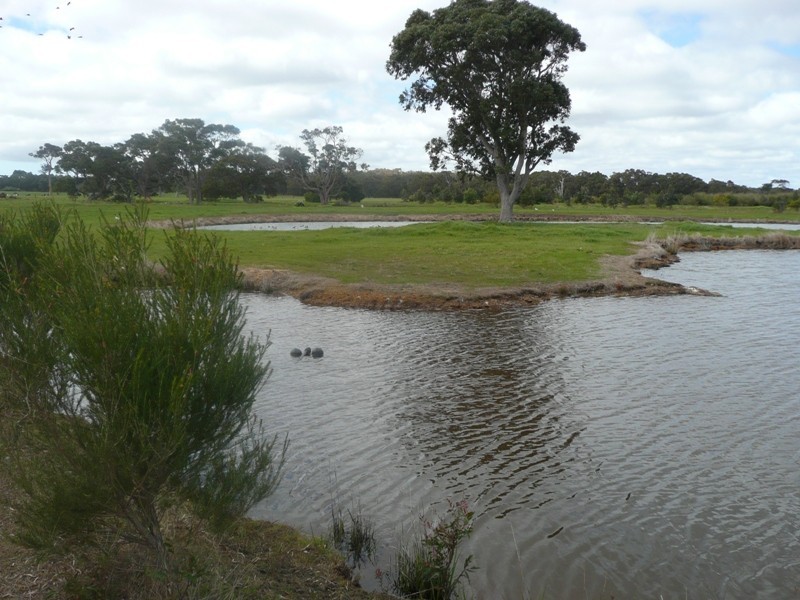 Wilyabrup WA 6280