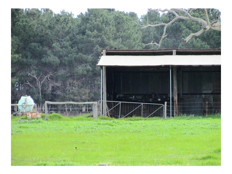 142 Brookdale Road, Boyanup WA 6237