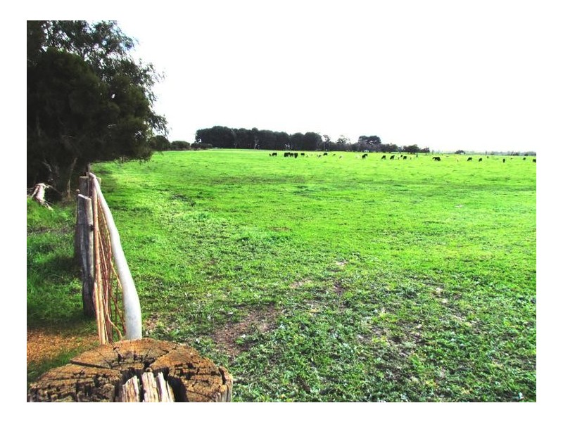 142 Brookdale Road, Boyanup WA 6237