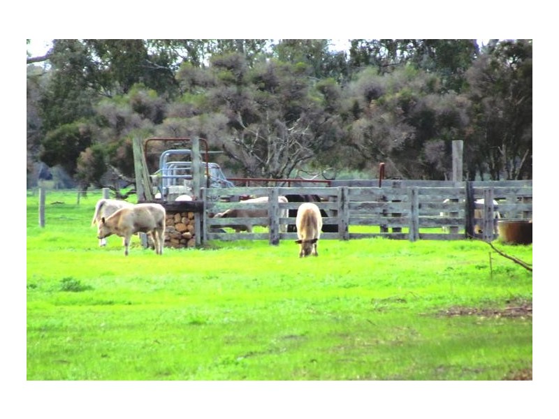 142 Brookdale Road, Boyanup WA 6237