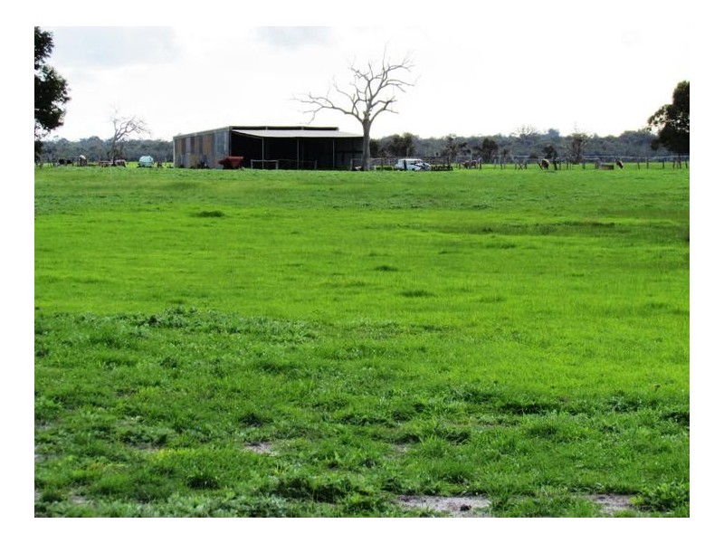 142 Brookdale Road, Boyanup WA 6237