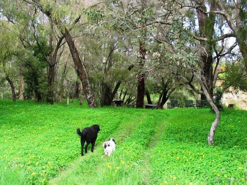 Lot 294 Hurst Road, Boyanup WA 6237