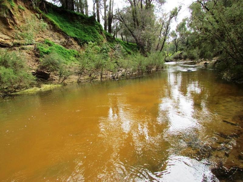 Lot 294 Hurst Road, Boyanup WA 6237