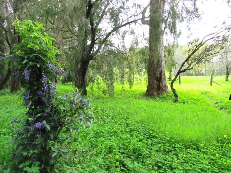 Lot 294 Hurst Road, Boyanup WA 6237