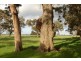 Loc 1757 Gulberti Road, Busselton WA 6280