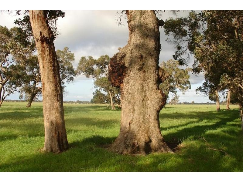 Loc 1757 Gulberti Road, Busselton WA 6280