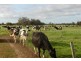 Loc 1757 Gulberti Road, Busselton WA 6280