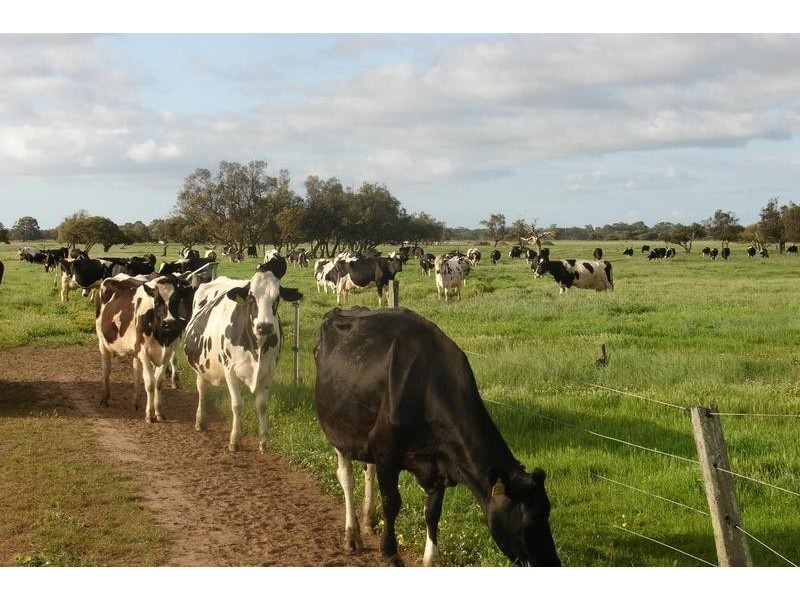 Loc 1757 Gulberti Road, Busselton WA 6280