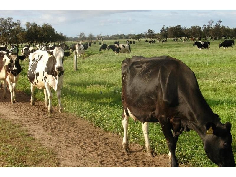 Loc 1757 Gulberti Road, Busselton WA 6280
