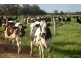 Loc 1757 Gulberti Road, Busselton WA 6280