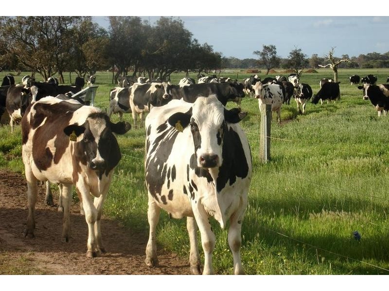 Loc 1757 Gulberti Road, Busselton WA 6280