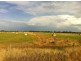 1757 Gulberti Road, Busselton WA 6280