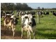 1757 Gulberti Road, Busselton WA 6280