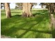 1757 Gulberti Road, Busselton WA 6280