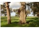 1757 Gulberti Road, Busselton WA 6280