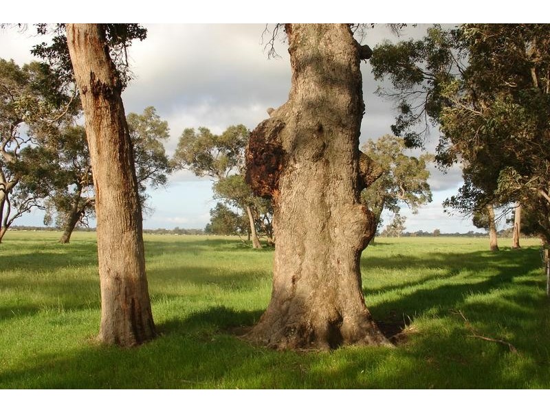 1757 Gulberti Road, Busselton WA 6280
