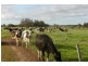 1757 Gulberti Road, Busselton WA 6280