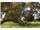 1757 Gulberti Road, Busselton WA 6280