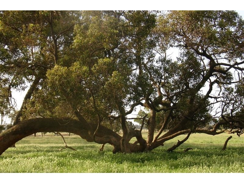 1757 Gulberti Road, Busselton WA 6280