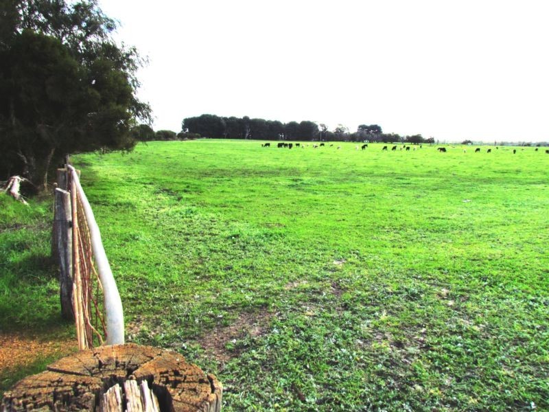 142 Brookdale Road, Boyanup WA 6237