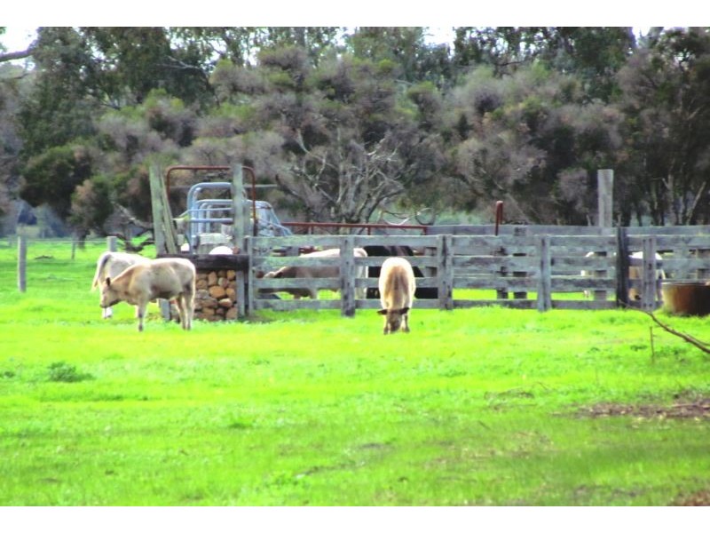 142 Brookdale Road, Boyanup WA 6237