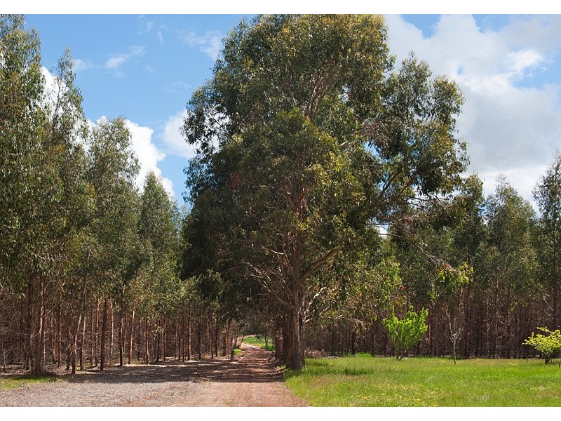 772 Wirring Road, Margaret River WA 6285