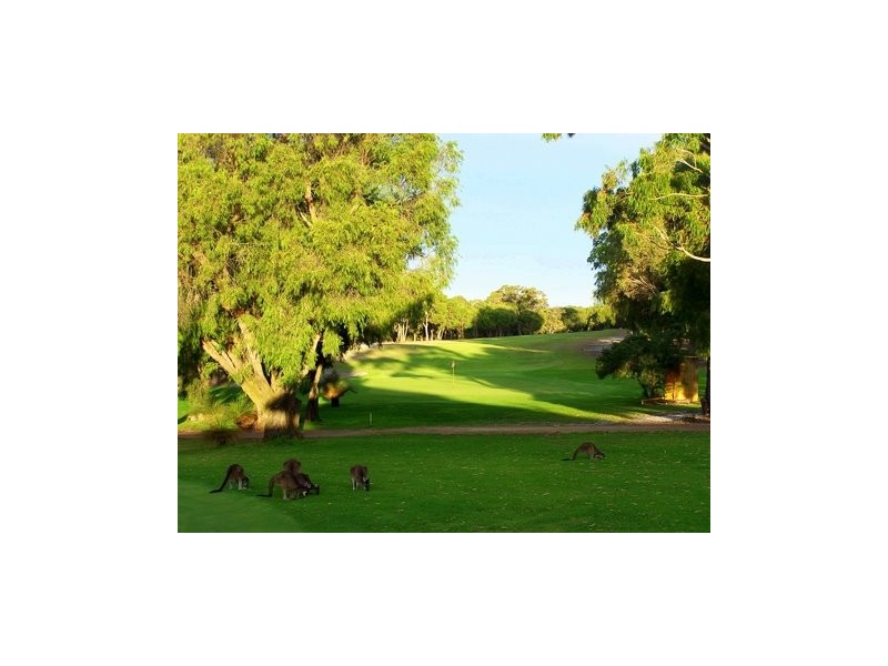 611 Wallcliffe Road, Margaret River WA 6285