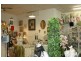 Shop 20-22/55 Fig Tree Lane, Prince Street, Busselton WA 6280