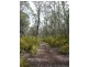 Lot 11215,  Mt Leewin Loop, Nannup WA 6275
