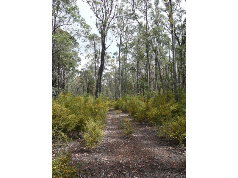 Lot 11215,  Mt Leewin Loop, Nannup WA 6275