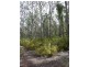 Lot 11189,  Mt Leewin Loop, Nannup WA 6275