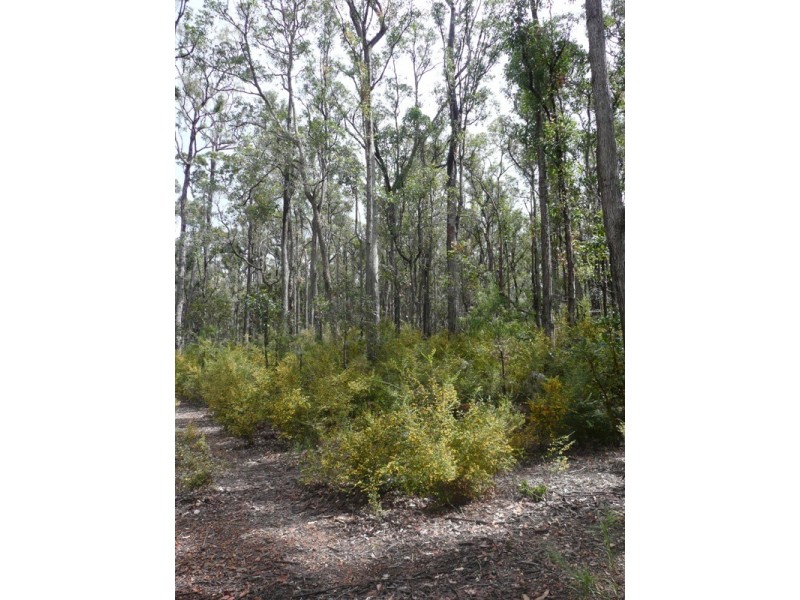 Lot 11189,  Mt Leewin Loop, Nannup WA 6275