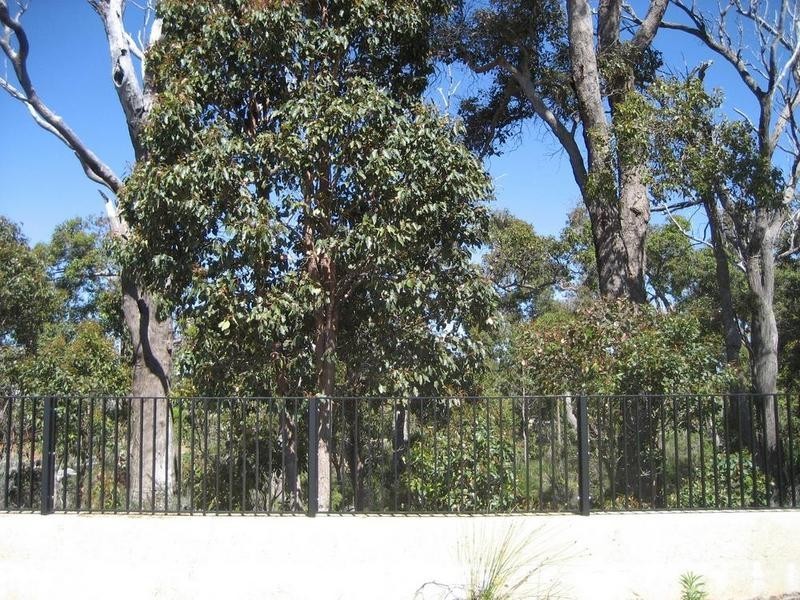 3 Hennessey Loop, Dunsborough WA 6281