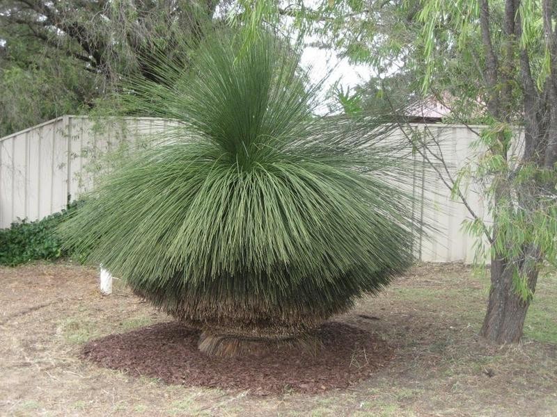 6 Windlemere Drive, Dunsborough WA 6281