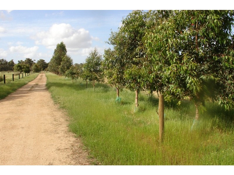 161 Evans Road, Chapman Hill WA 6280