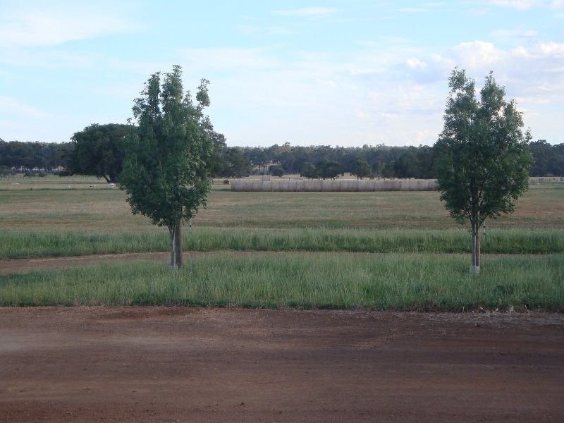 161 Evans Road, Chapman Hill WA 6280