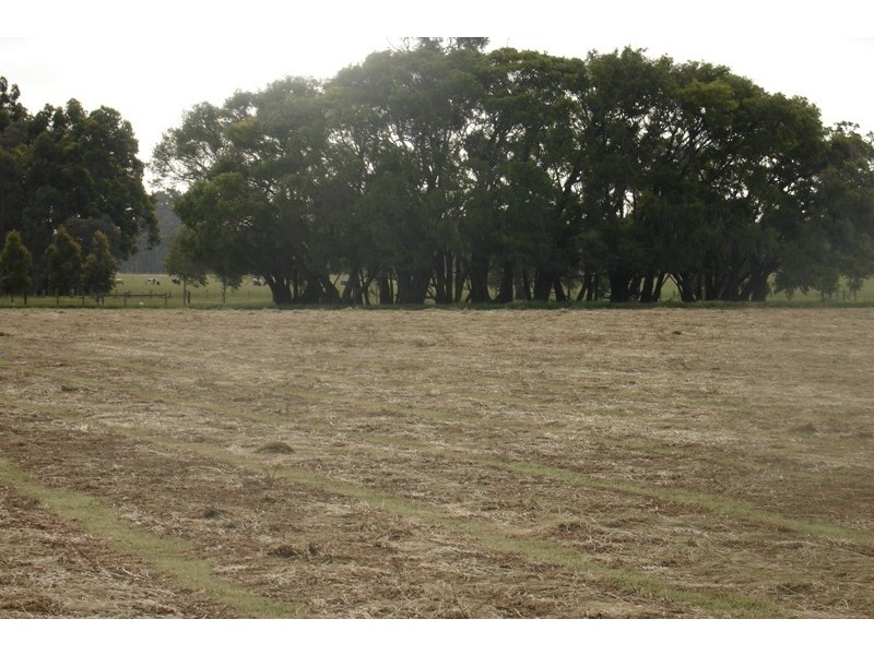 161 Evans Road, Chapman Hill WA 6280