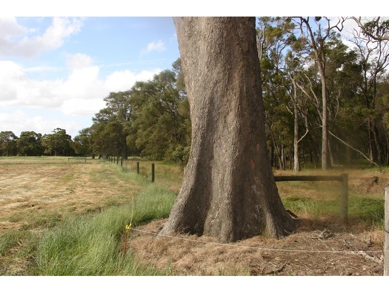 161 Evans Road, Chapman Hill WA 6280