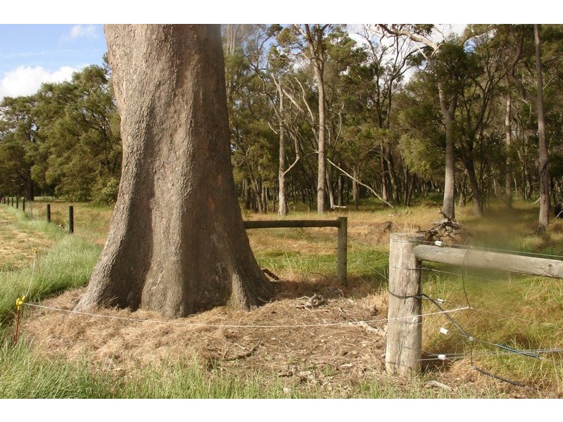 161 Evans Road, Chapman Hill WA 6280