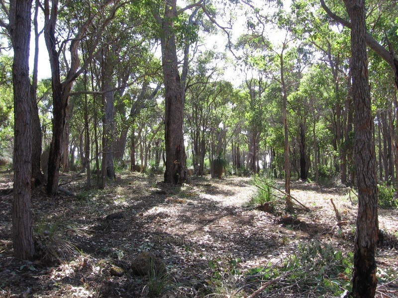 Lot 7 Yungarra Drive, Quedjinup WA 6281