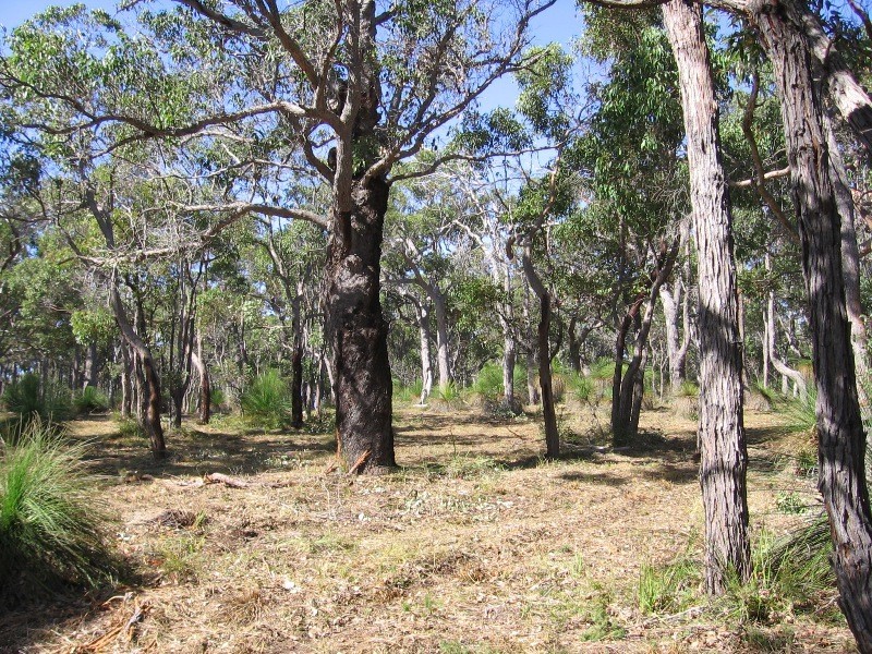 Lot 7 Yungarra Drive, Quedjinup WA 6281